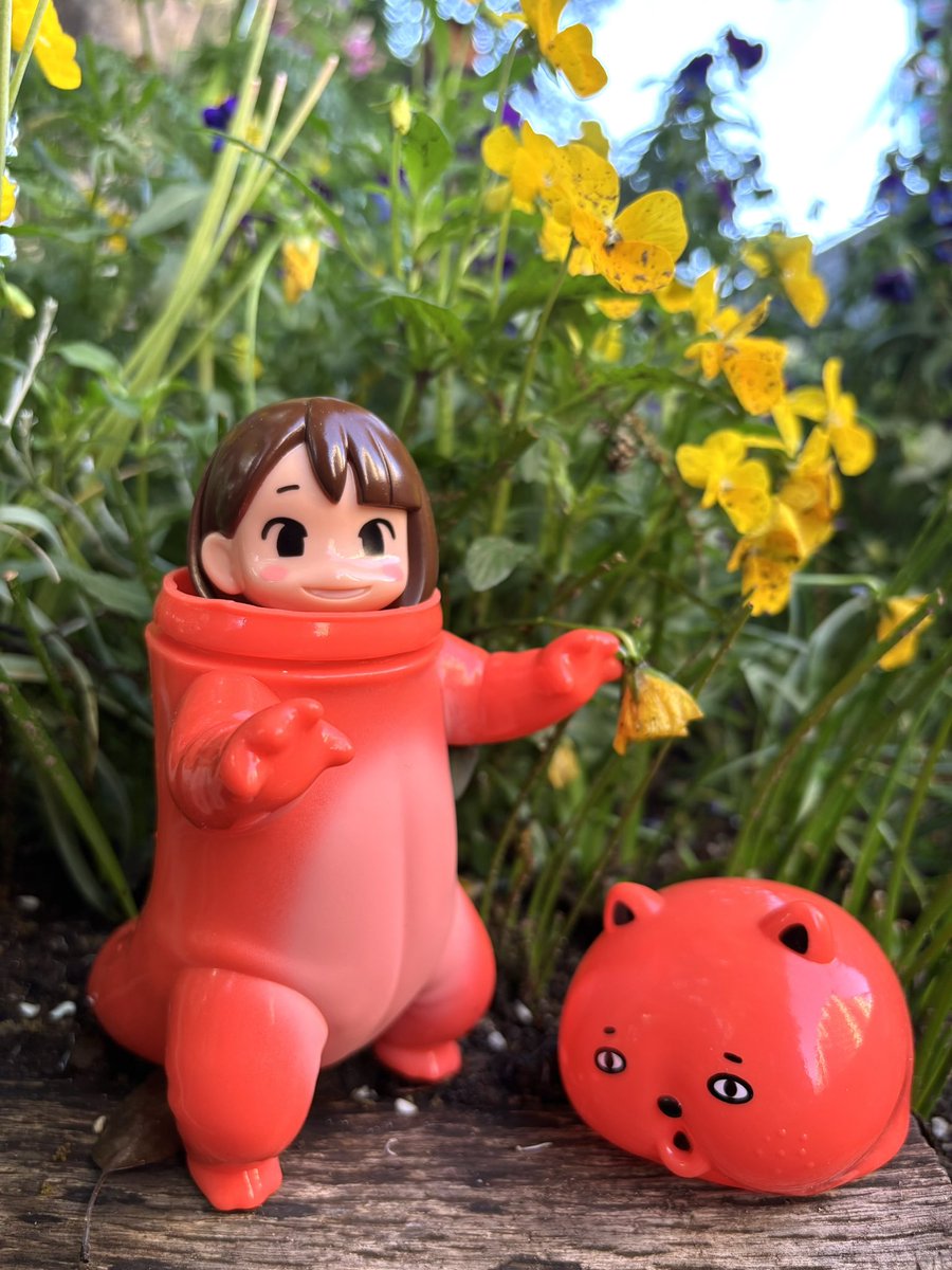 雨上がり…土や草の匂いがしてきて、お散歩に。 高田ちゃん、さくら