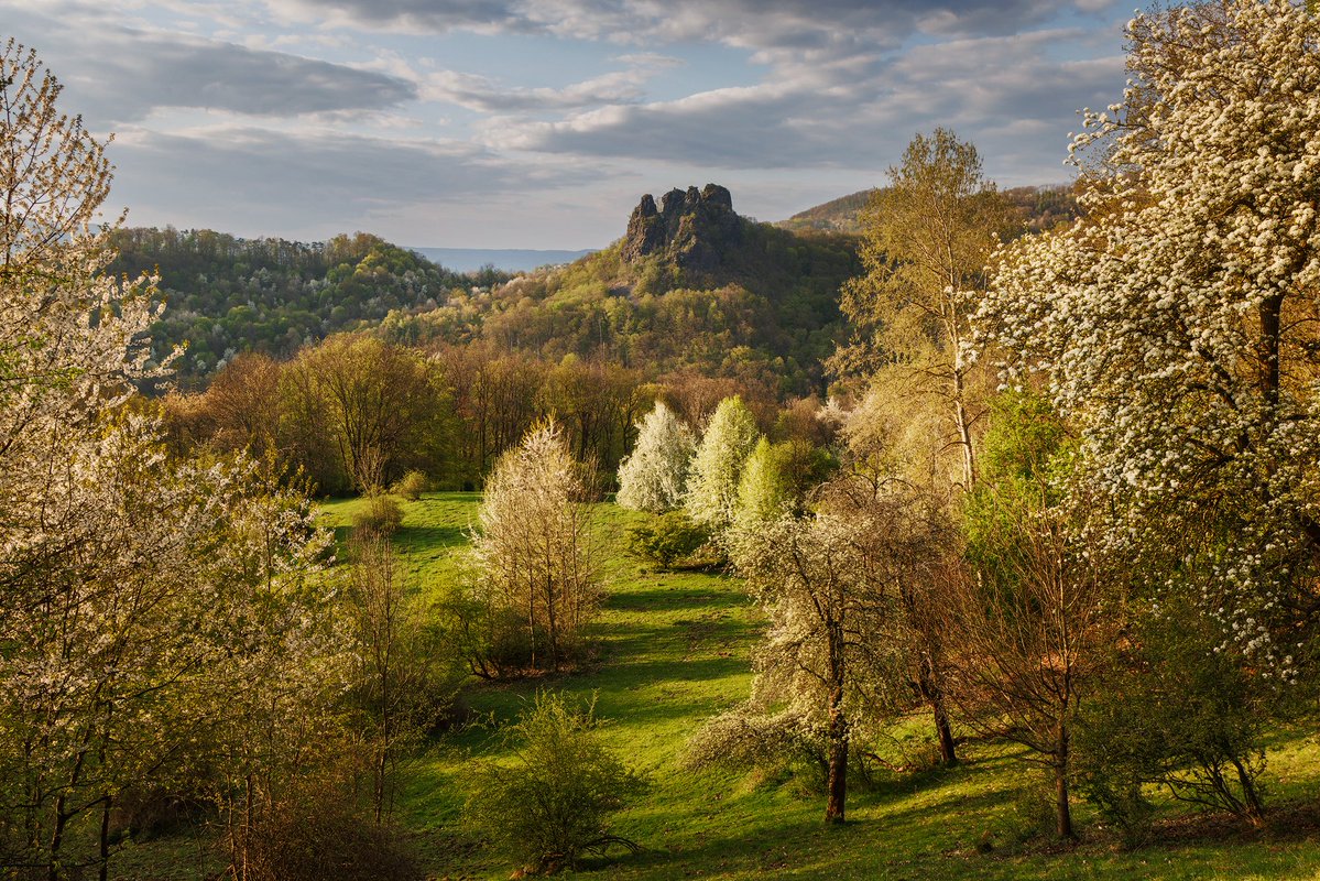 Martin Rak tweet media