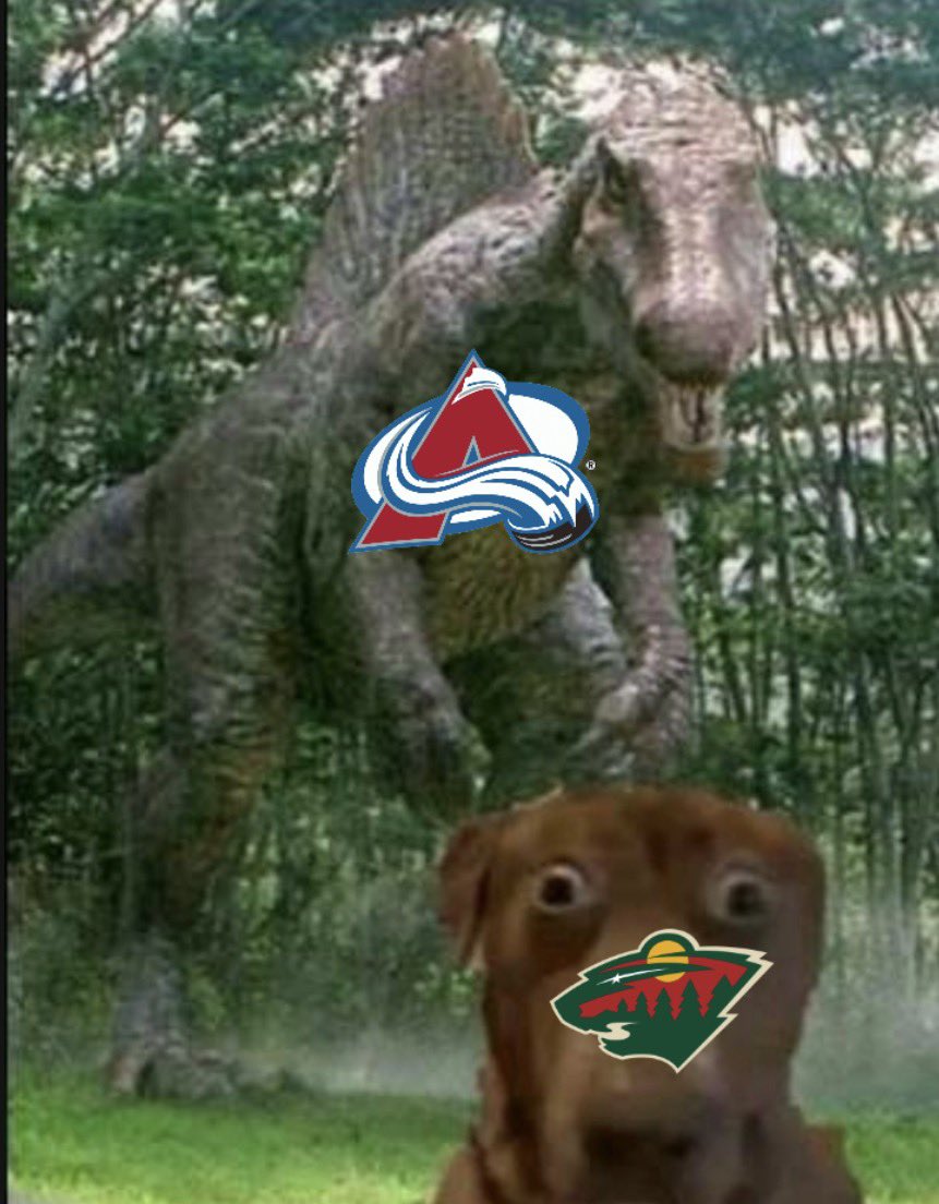 x- Caniss 🏒|-/ ♪ ༘⋆ tweet media