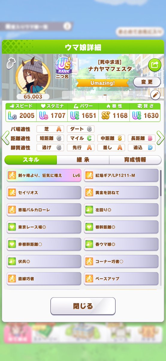 ごまねこ🥝 tweet media