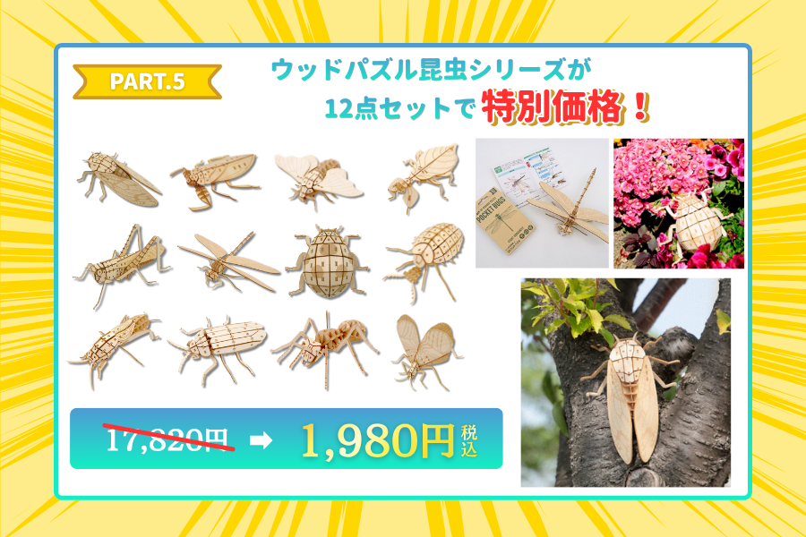 日曜日まで限定セール　昆虫標本 🐞🌿GW限定セール開催中🌿🐞 大迫力！「昆虫12種類セット」が ＼今だけ