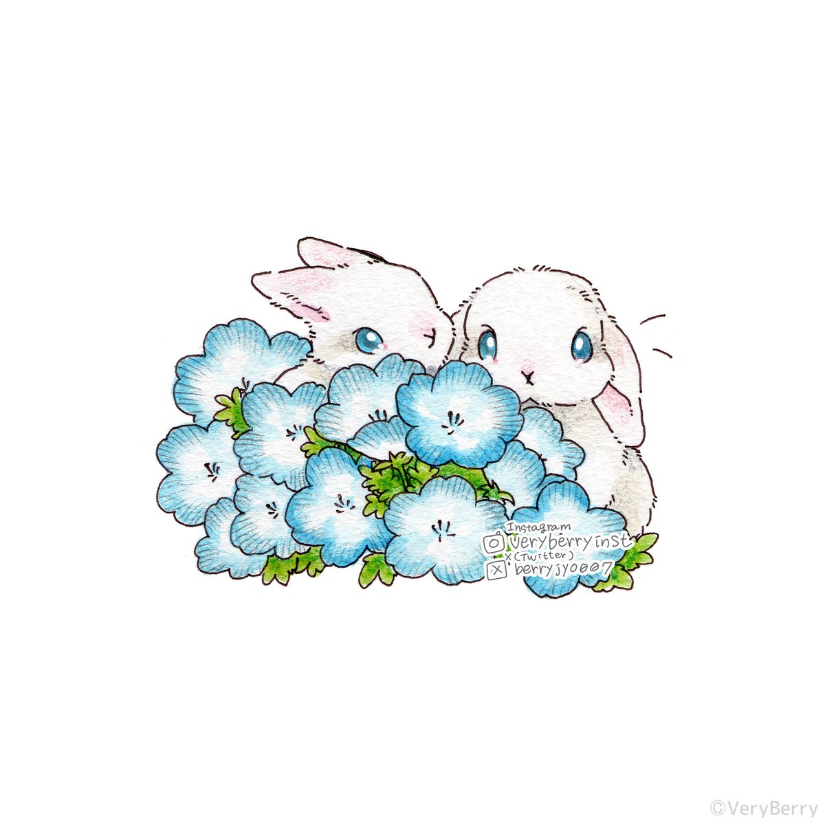 VeryBerry tweet media