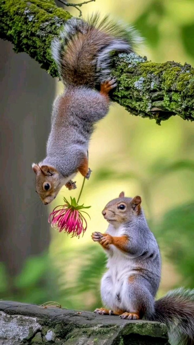 sapara Varsha (@varshasapara27) on Twitter photo 