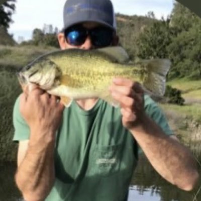 LeftCoastWes tweet media