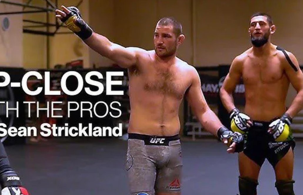 MMA FIXED tweet media