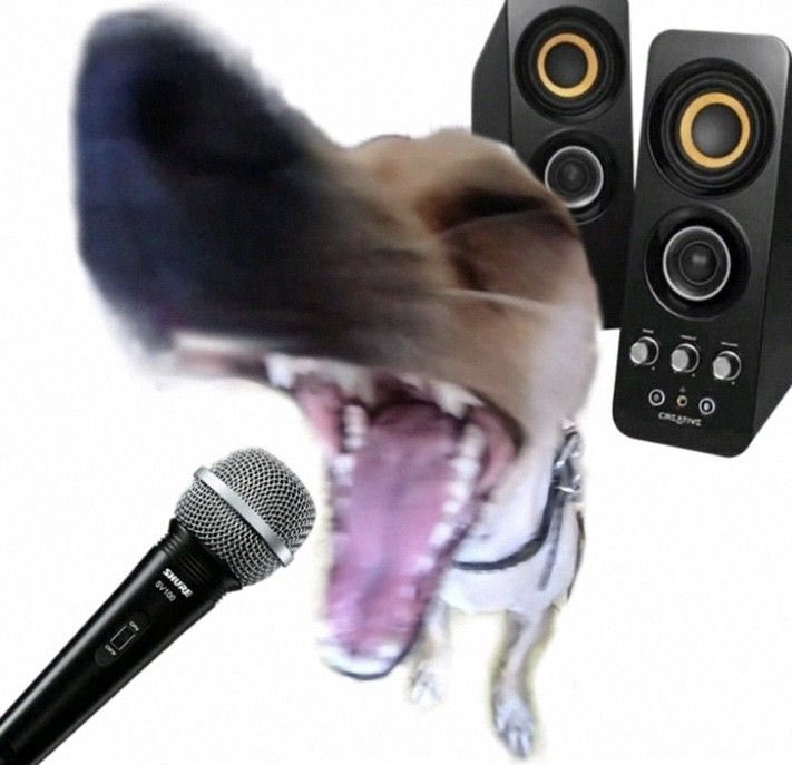 Mixed Verse Twunk tweet media