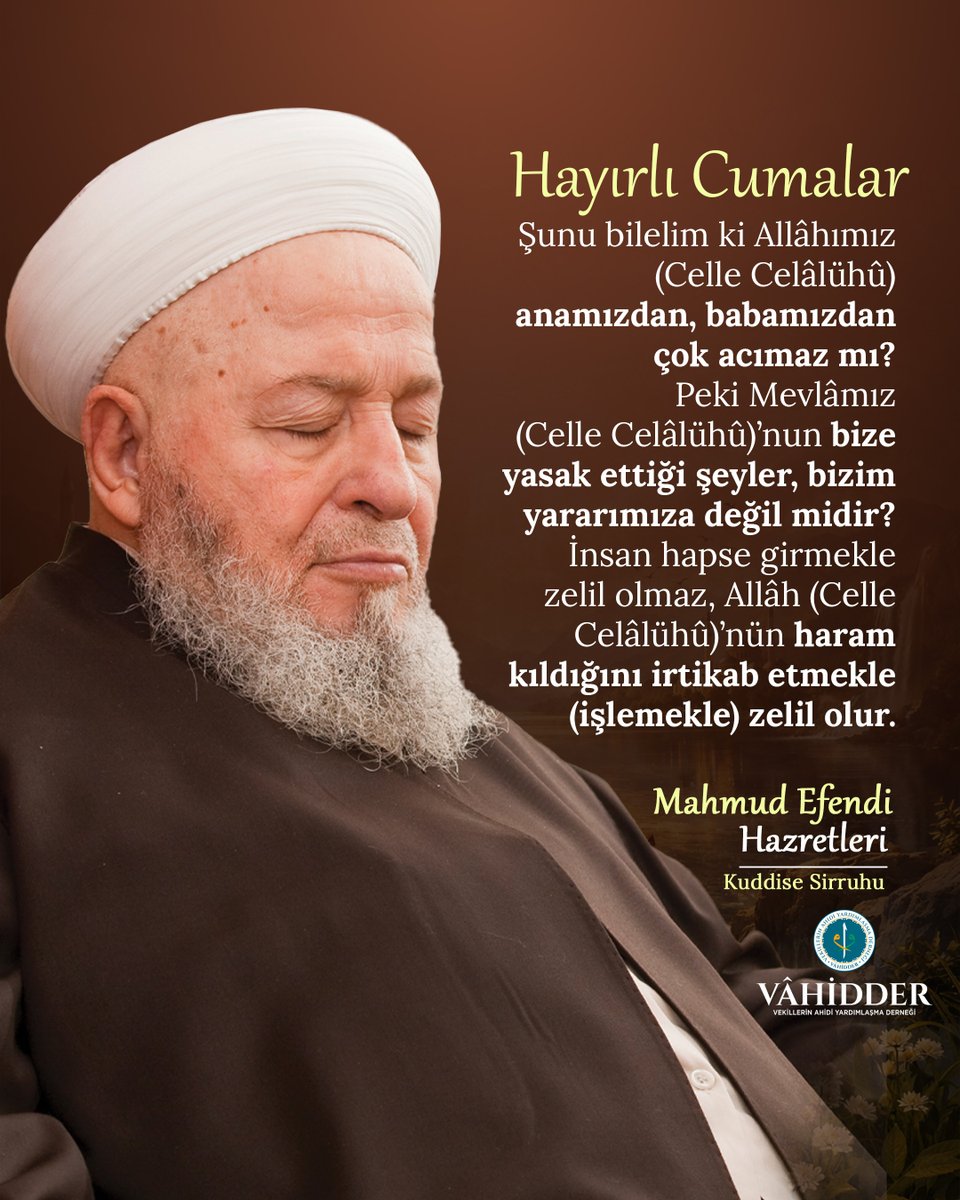 Vahidder tweet media