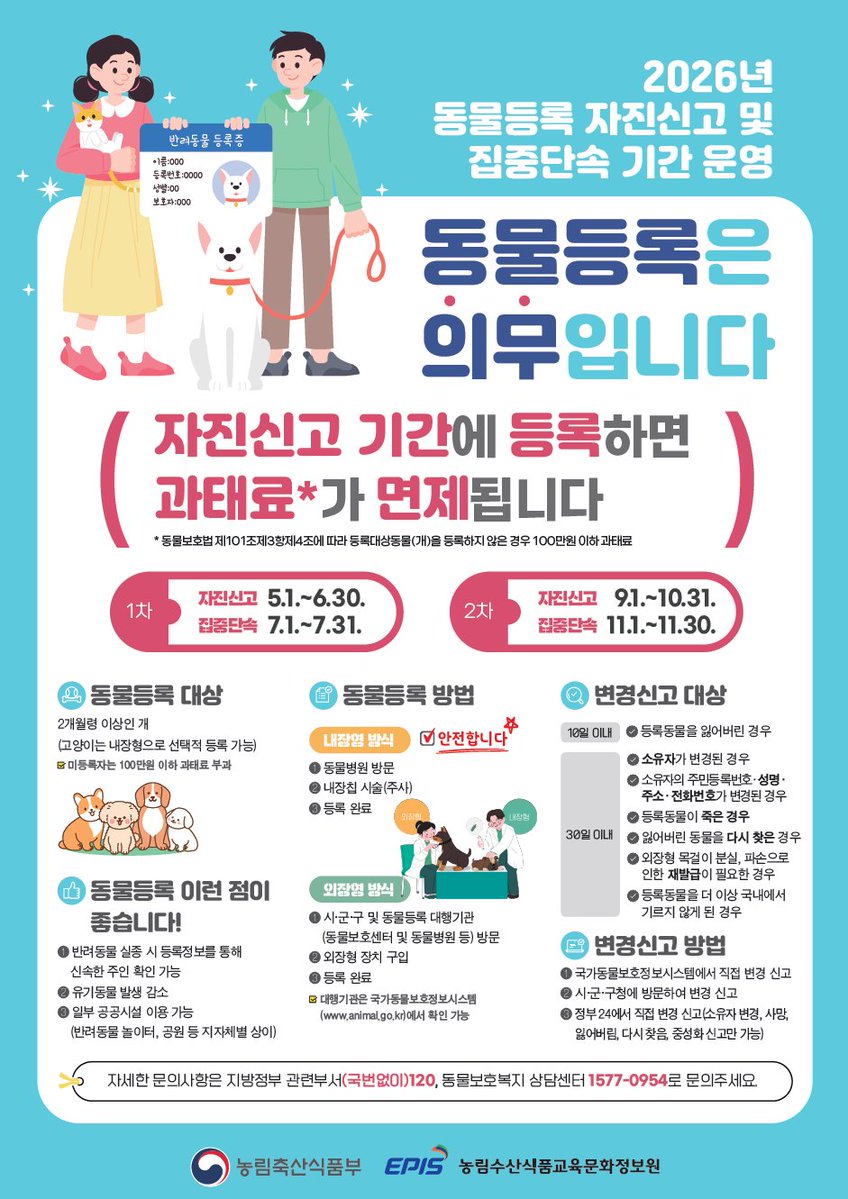 오로라 tweet media