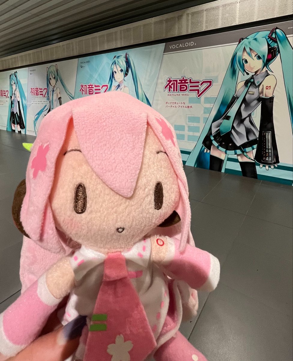 来たよ！！！！