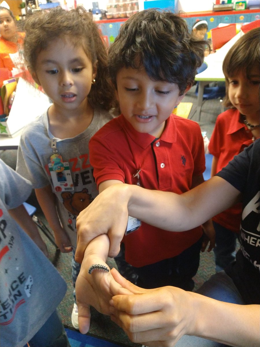 KatyJaime84's tweet photo. Butterflies know the beauty of change ๐๐ฆ Closing our unit about animals. ๐ค๐ปโฅ๏ธ #PreKlife #LevelUp @fmgilbert @jennmckee3 https://t.co/Ra1TisgYmI