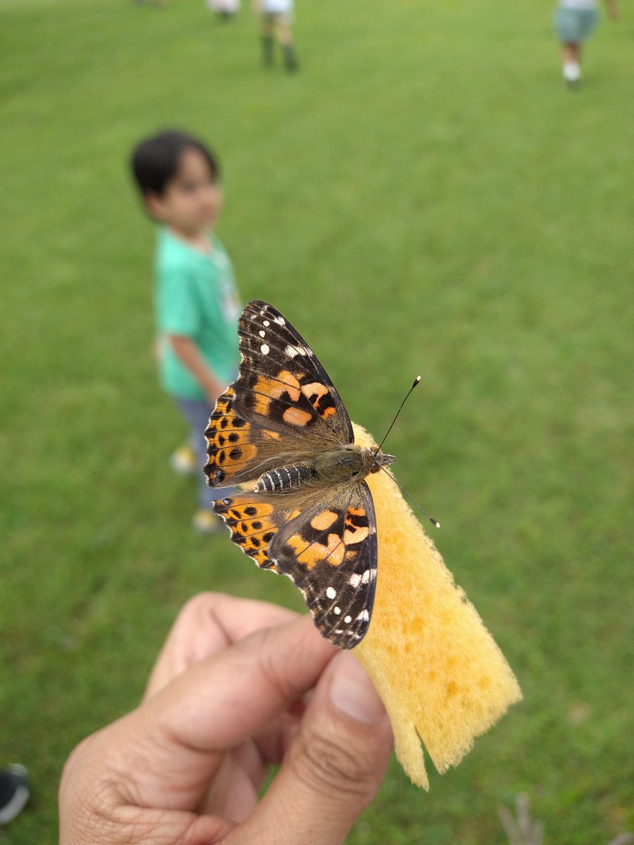KatyJaime84's tweet photo. Butterflies know the beauty of change ๐๐ฆ Closing our unit about animals. ๐ค๐ปโฅ๏ธ #PreKlife #LevelUp @fmgilbert @jennmckee3 https://t.co/Ra1TisgYmI