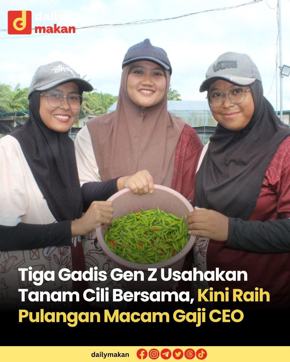 Tiga rakan baik yang merupakan gadis generasi Z mahu membuktikan usaha mereka membuka kebun sayur-sayuran boleh mendatangkan pendapatan yang agak baik jika diusahakan de­ngan bersungguh-sungguh.

Mereka ialah Nurul Faizah Mazlan, 26, dari Kuala Terengganu, Nurliyana Ismail, 26,