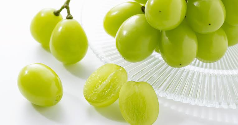 【ありがとう企画】
いつもご覧いただきありがとうございます。
抽選で1名様にお届けします🍇
フォロー＆いいね＋リポスト
〆切：5月8日