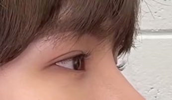 제인 tweet media