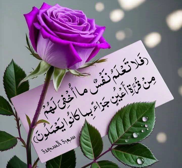 نـور tweet media