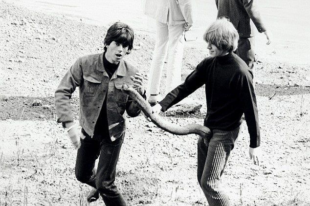 ⋆. 𐙚 ̊🪐𝕾𝖆𝖙𝖚𝖗𝖓𝖔🪳🇵🇸☭Jurídico Mick Jagger tweet media