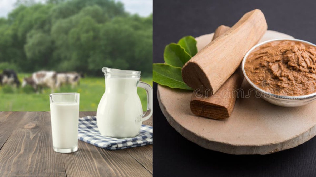 dsudeshna434's tweet image. Prepare a paste by mixing a small amount of sandalwood powder with milk. Now, gently apply this paste to your face. Leave it on until the paste has completely dried. Once dry, wash it off. This pack helps to brighten the skin.#beauty #beautyTips #skincare #facepack