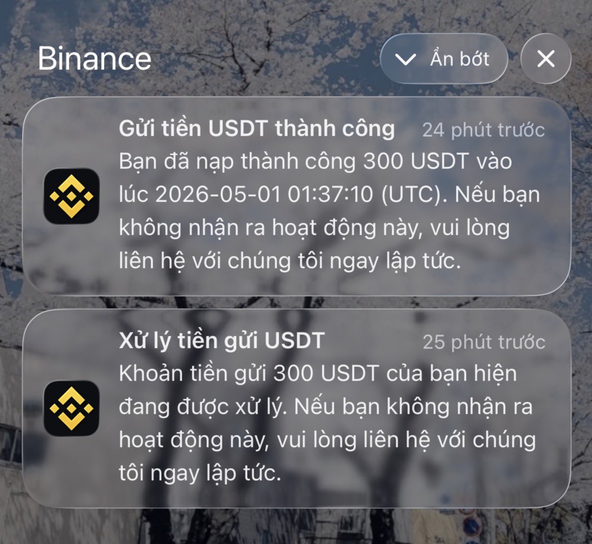 Thành Phan tweet media