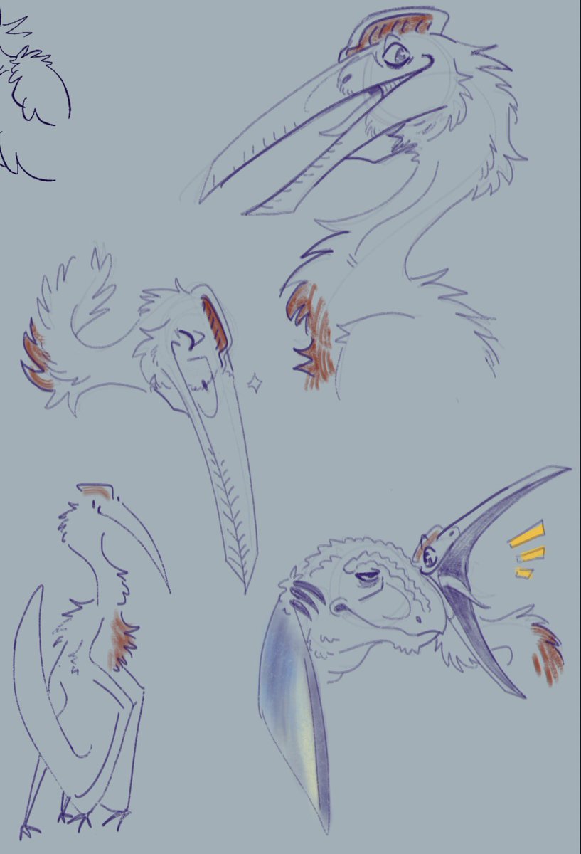 CookieJamStuff's tweet image. He’s the friendliest hatz you’ll ever meet trust

(Skipper)

#hatzegopteryx #dinosaur #oc
