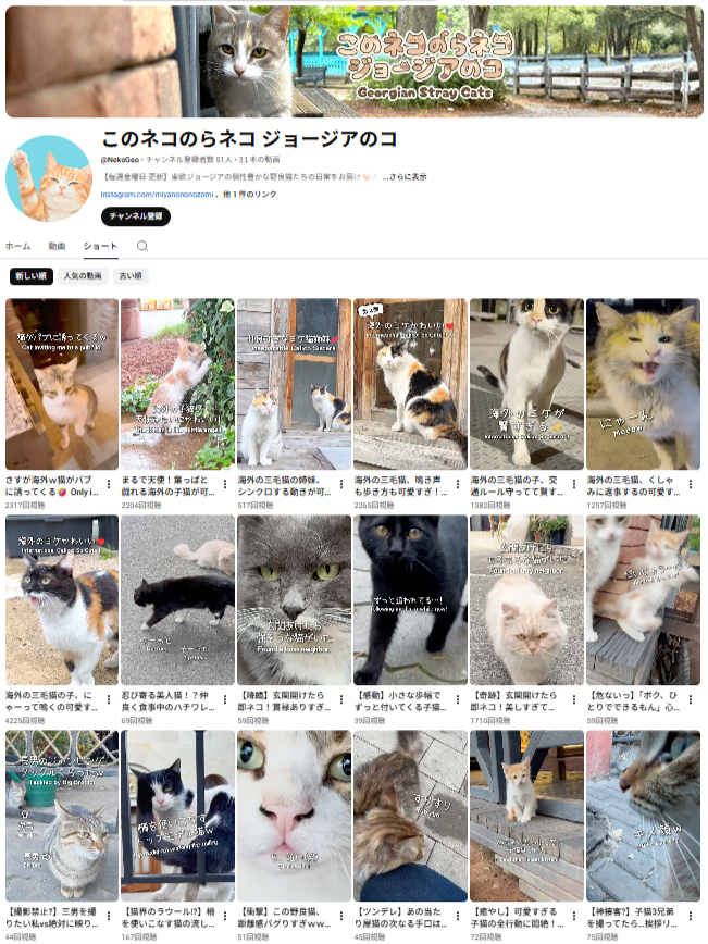 MiyanonozoMi tweet media