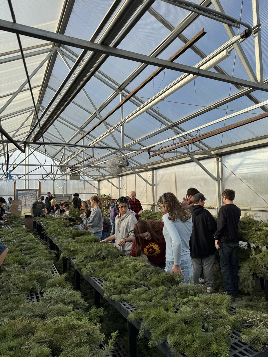 kayyy032's tweet photo. @AlaniNutrition Making 250 wreaths for veterans in our local cemetery. Genuinely a heartfelt project for myself and them 🥺 https://t.co/uacq1p7nt7