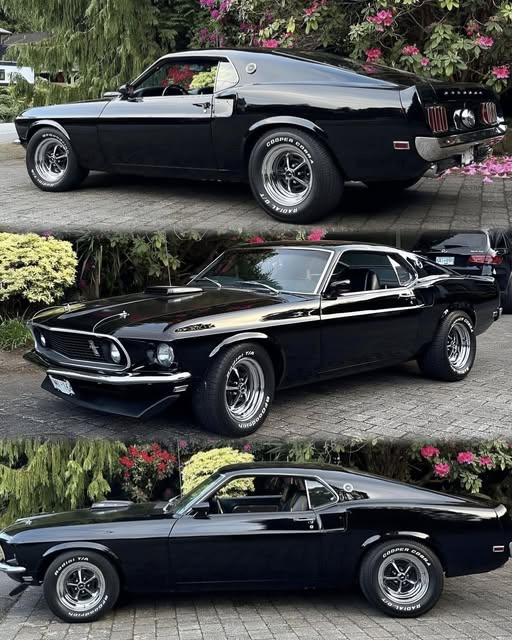 Sofia50020Sofia's tweet photo. 1969 Ford Mustang Mach 1 428 Cobra.Jet🇺🇸

Is this your type? https://t.co/qRgkqvIDkr