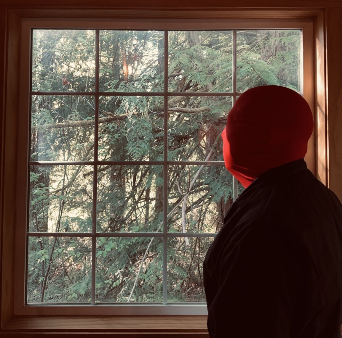 OnChainCult's tweet image. RED talks to animals, they must be talking about me cause they’ll look over silently than laugh lol #ShortFilm