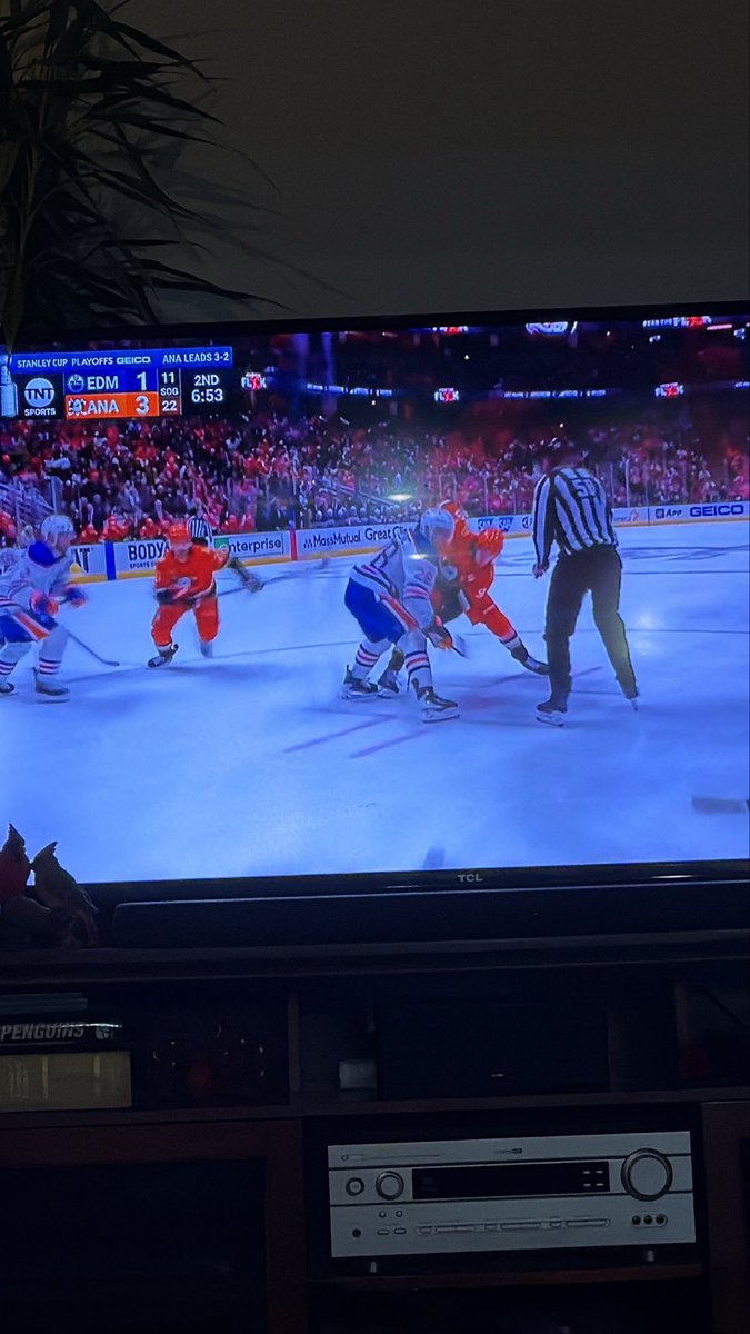 Time to root for Granny

sharks and stars legend ❤️