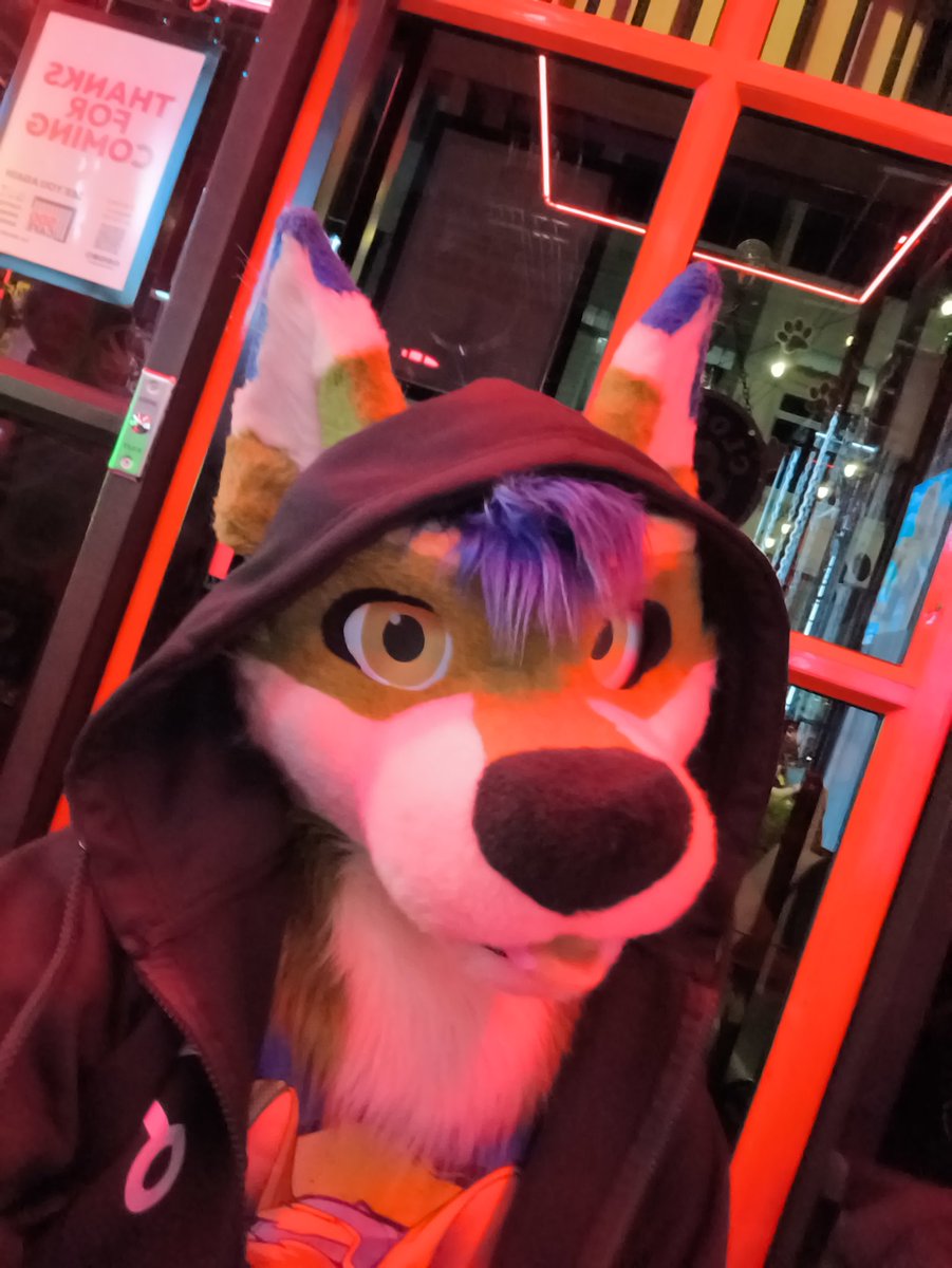 Wufuzz's tweet photo. *whispers* Do you want some hugs?
#FursuitFriday https://t.co/vuU484x3U5