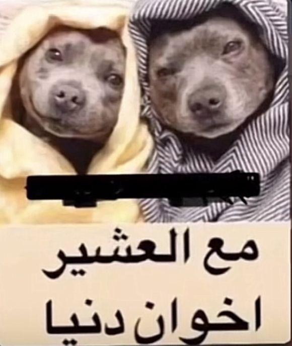 تدرون اول مره اعتمرنا انا واخوي مشينا الصفا والمروى ١٤ مره؟ لين م حسينا فيه شي غلط ودقينا ع ابوي وقال كملوا ع الطايف لا اشوف وجيهكم