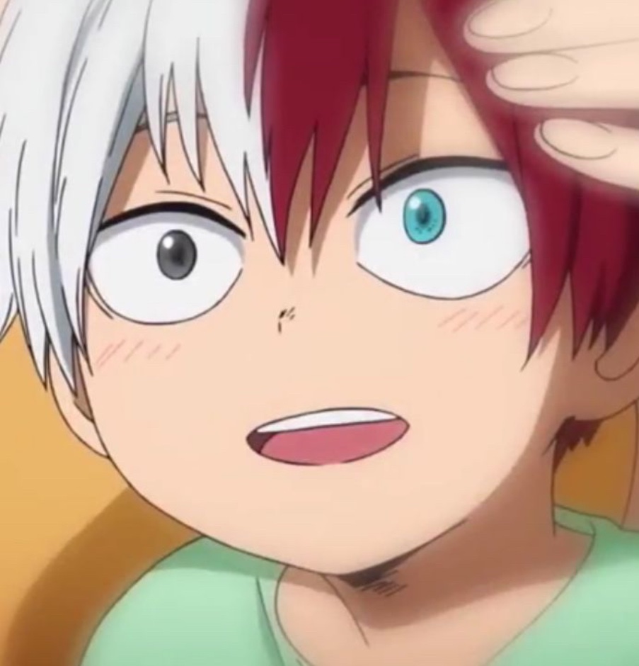 Shoto Todoroki's PR Manager❄️🔥🐈🍜 tweet media