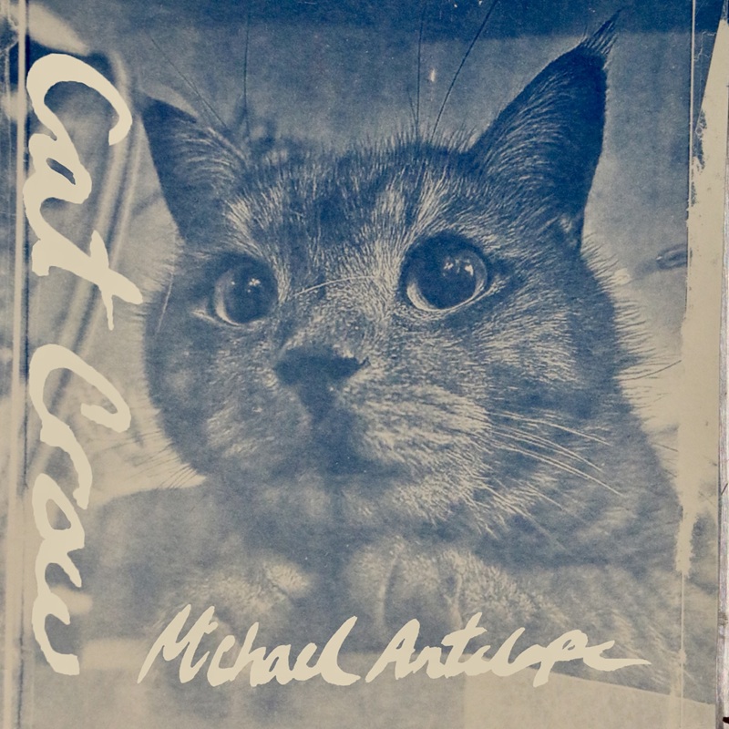 spillmagazine's tweet image. SPILL NEW MUSIC: MICHAEL ANTELOPE - "CAT CROW"
spillmagazine.com/110259

#news #newmusic #music #newsong #newrelease #rt #retweet #singer #songwriter #band #country #folk #bluegrass #indiefolk #indie #hamilton #ontario #canada 🇨🇦