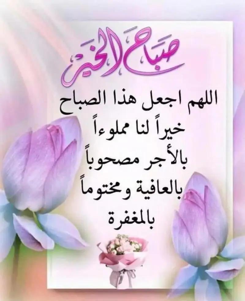 ام عادل tweet media