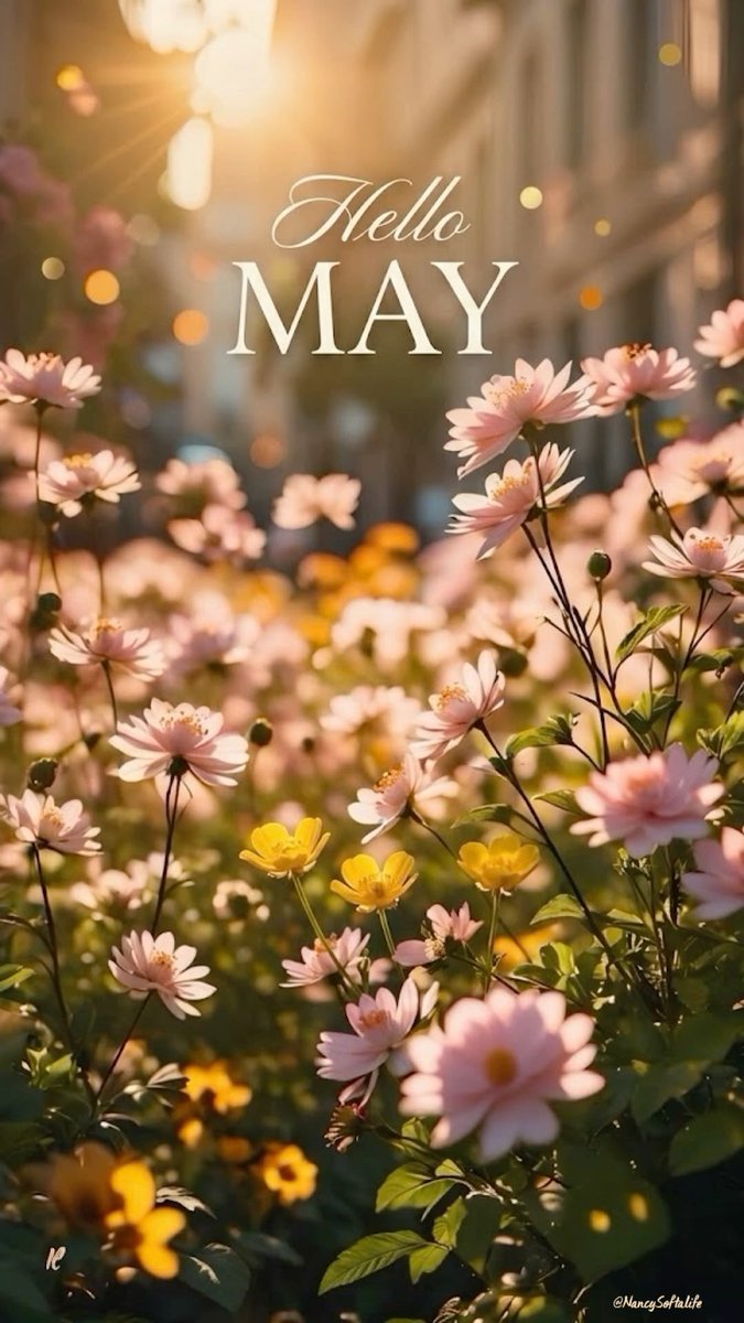 RajshriDhananj1's tweet image. May this month bring happiness, new hopes, and fresh beginnings into everyone’s life .. ✨🌸🌸✨🌸🌸✨

#May #NewMonth