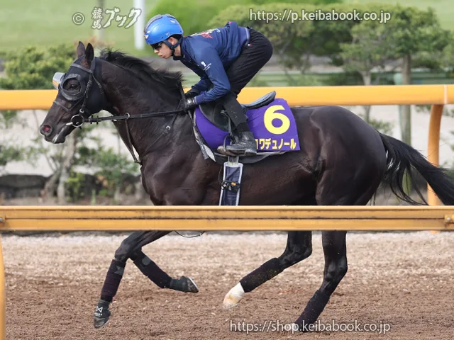 天皇賞・春に出走するクロワデュノールです。 ダービー馬で天皇賞・春