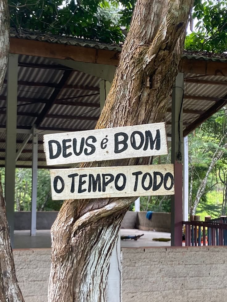 Frases tweet media