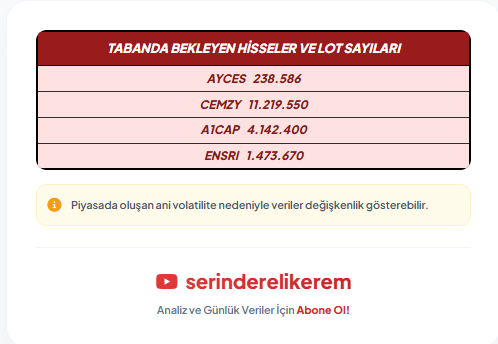 Kerem Serinderellii tweet media