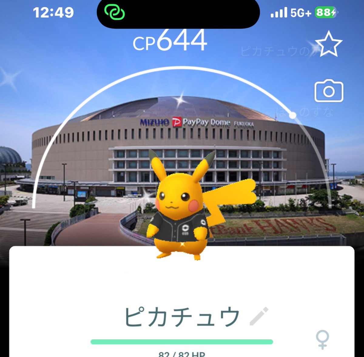 yoピカ(yopikachuuv) tweet media