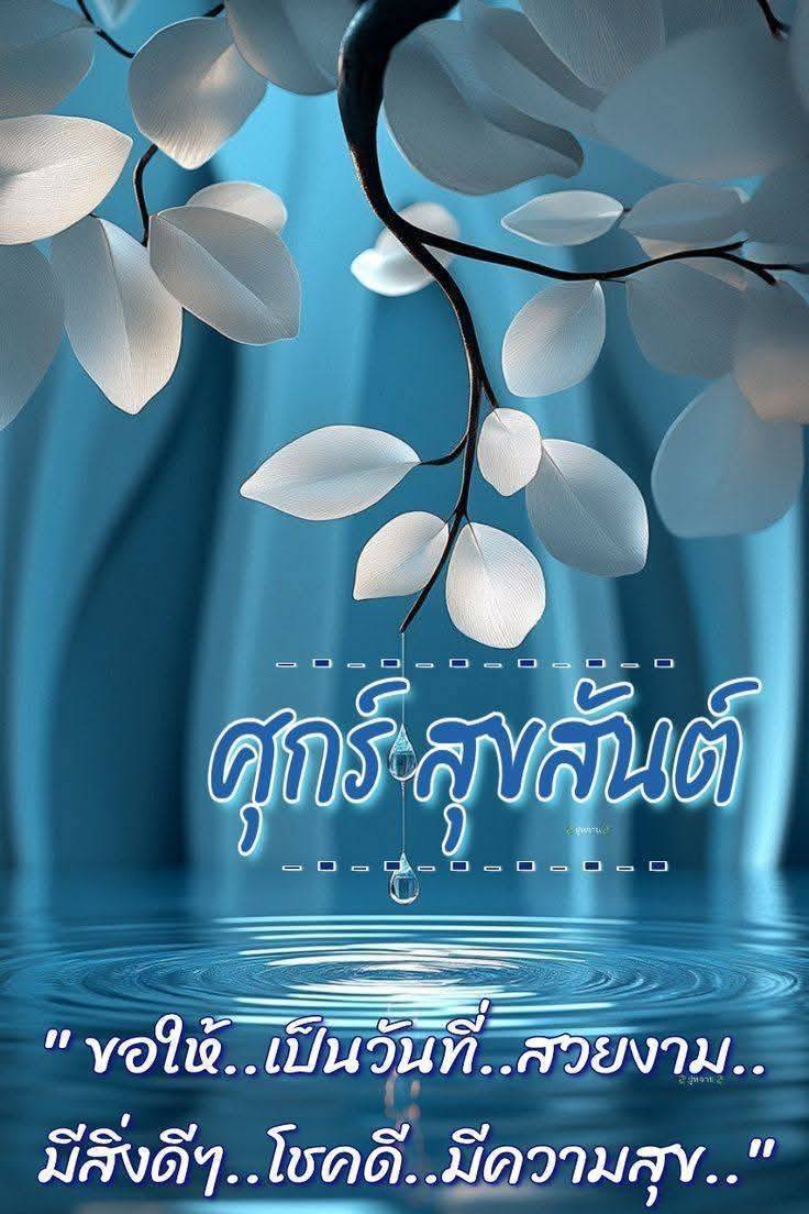 vid k.ang🇹🇭 tweet media