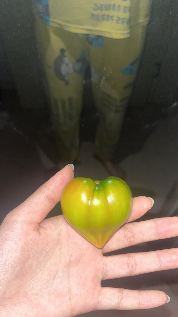 모범생민민 tweet media