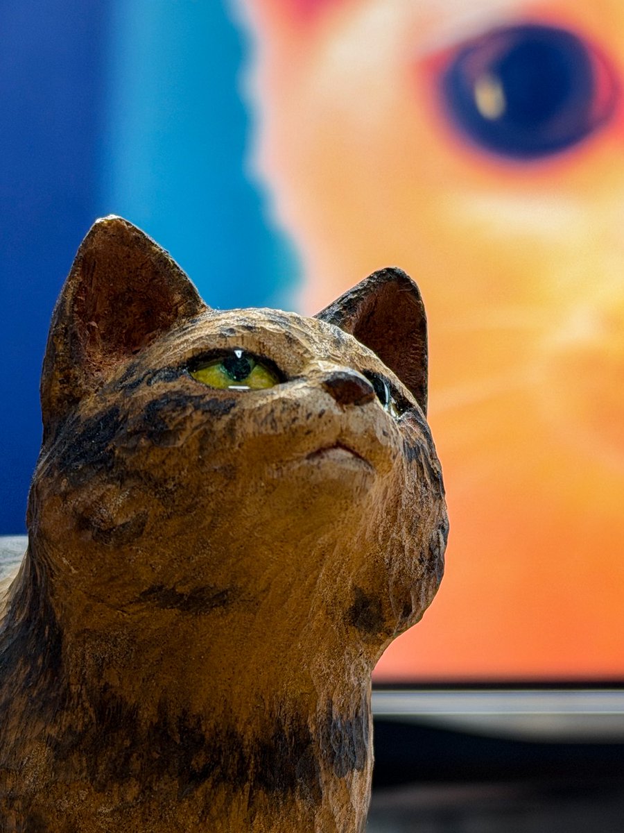 amagi2222's tweet photo. 猫ができた。
目がちゅるちゅるになってよかったけどここまでするならもう玉眼を検討してもいいような気がしなくもないような。
いずれ一度はやってみたい。
#猫
#木彫 https://t.co/ODuvJFUO9p