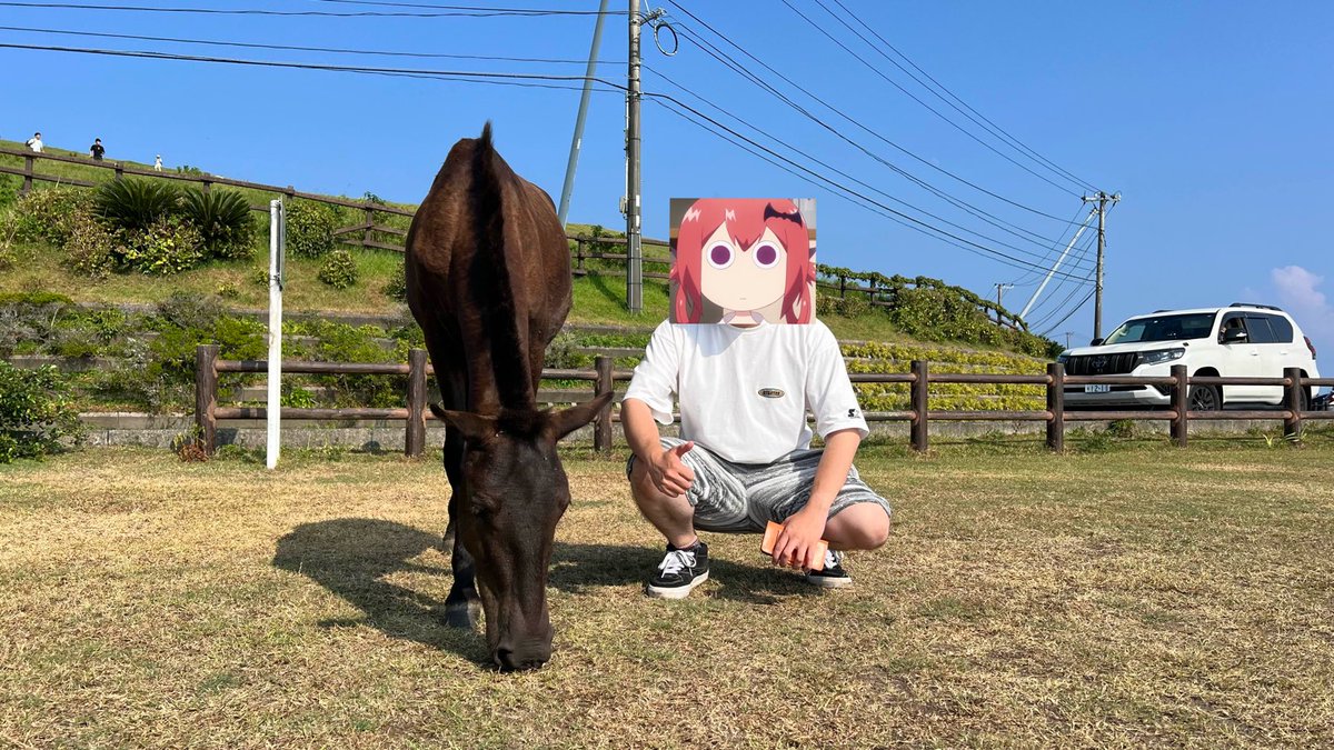 モチジ(マ) tweet media