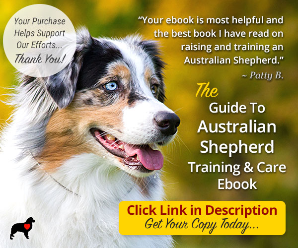 AussieShepLover's tweet image. The GUIDE TO AUSSIE TRAINING AND CARE Ebook! 🐾💖🎓
🔶 Created by Aussie Lovers, for Aussie Lovers...
🔶 OVER 40% OFF—GET YOUR COPY TODAY!!
🔶 Enter "ASL40" at Checkout 👍
australian-shepherd-lovers.com/asl-ebook-tw

#australianshepherd #aussie #dogtraining #puppytraining #aussielovers