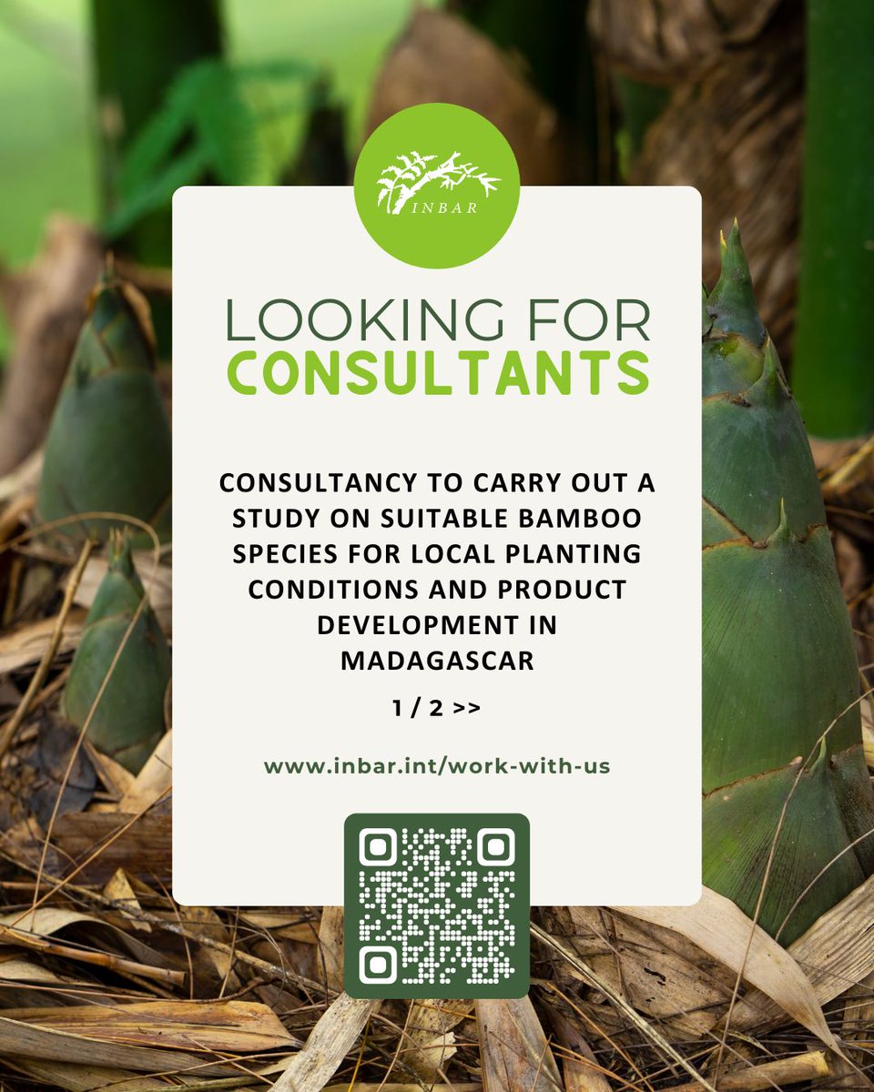 INBARofficial's tweet image. Want to make a difference in Madagascar? 🎋 Join INBAR! We’re hiring for bamboo research &amp;amp; SOP development. Be part of global sustainability. Apply now: inbar.int/work-with-us

#GreenFuture #JobOpportunity #JoinINBAR