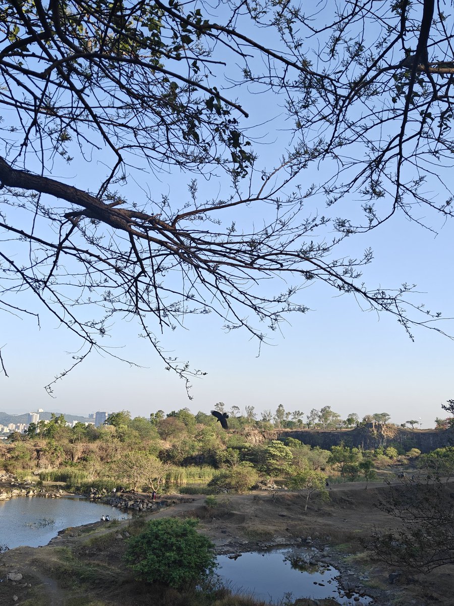 peshwapooja's tweet photo. महाराष्ट्र माझा🚩 https://t.co/ueFN7o3Zqm