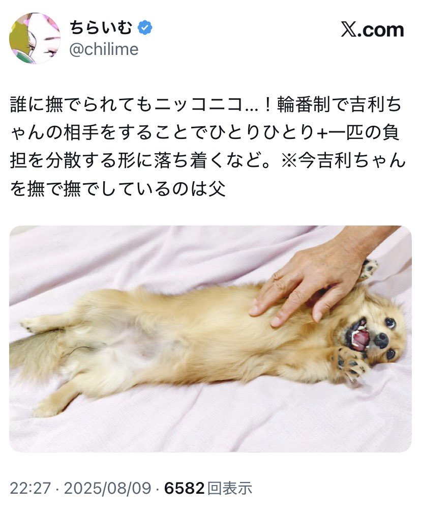 飴 tweet media