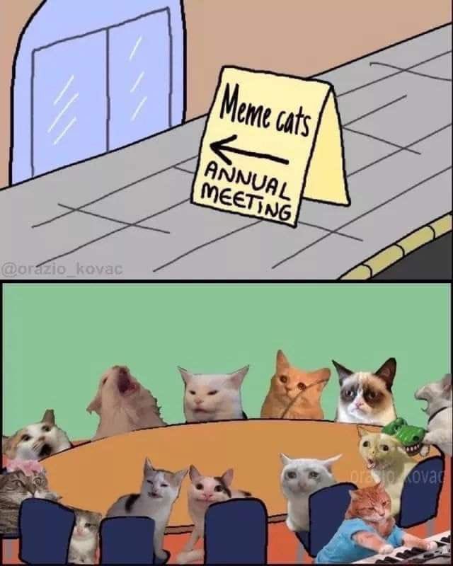 No Cats No Life tweet media