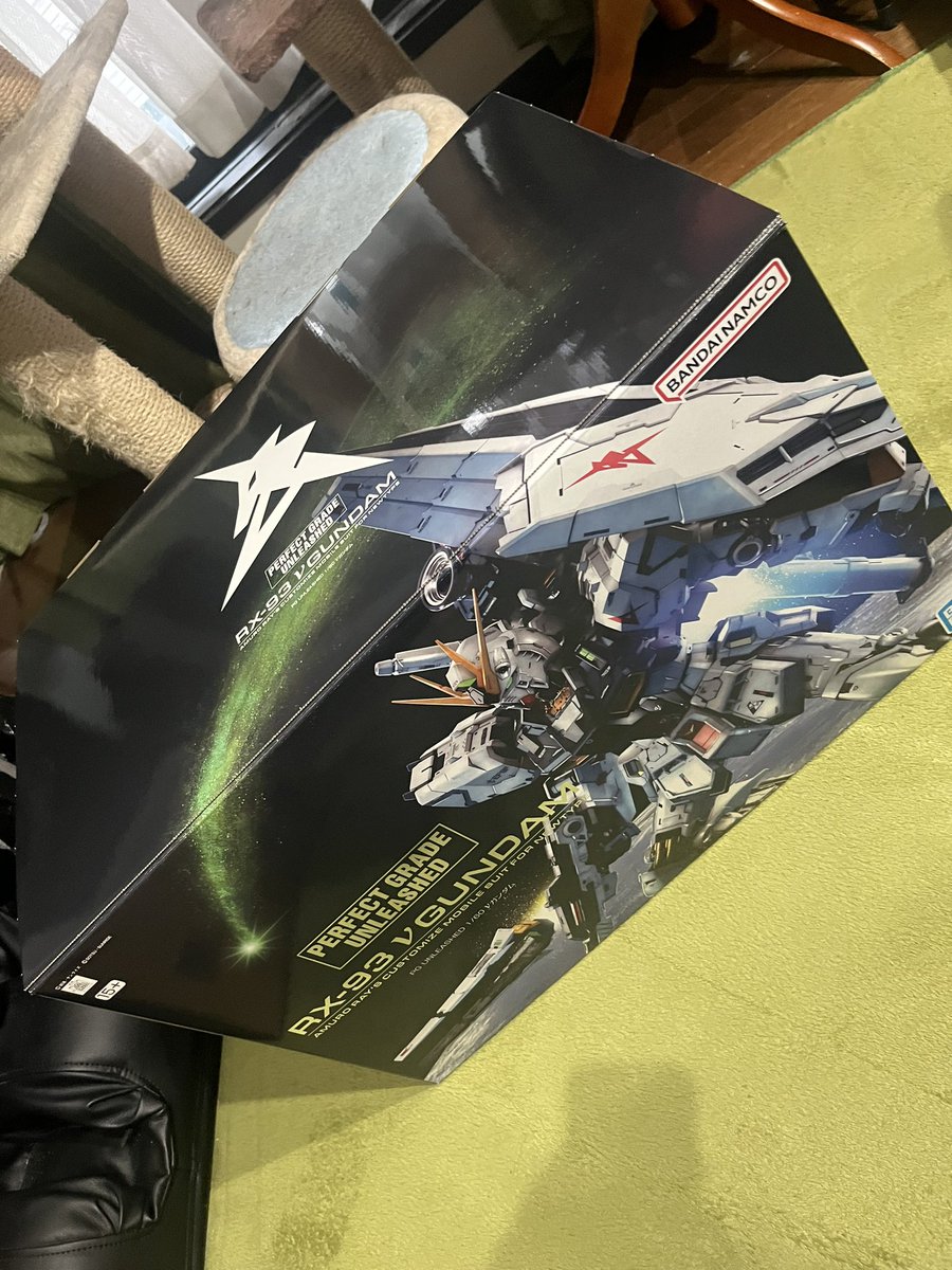 やっと開封したけどデカすぎて頭抱えてる