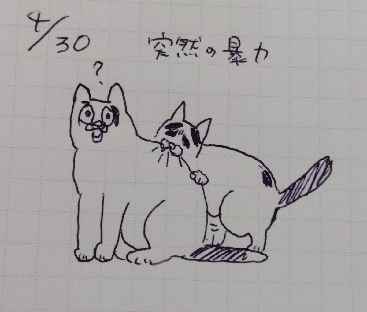 総理.inc tweet media