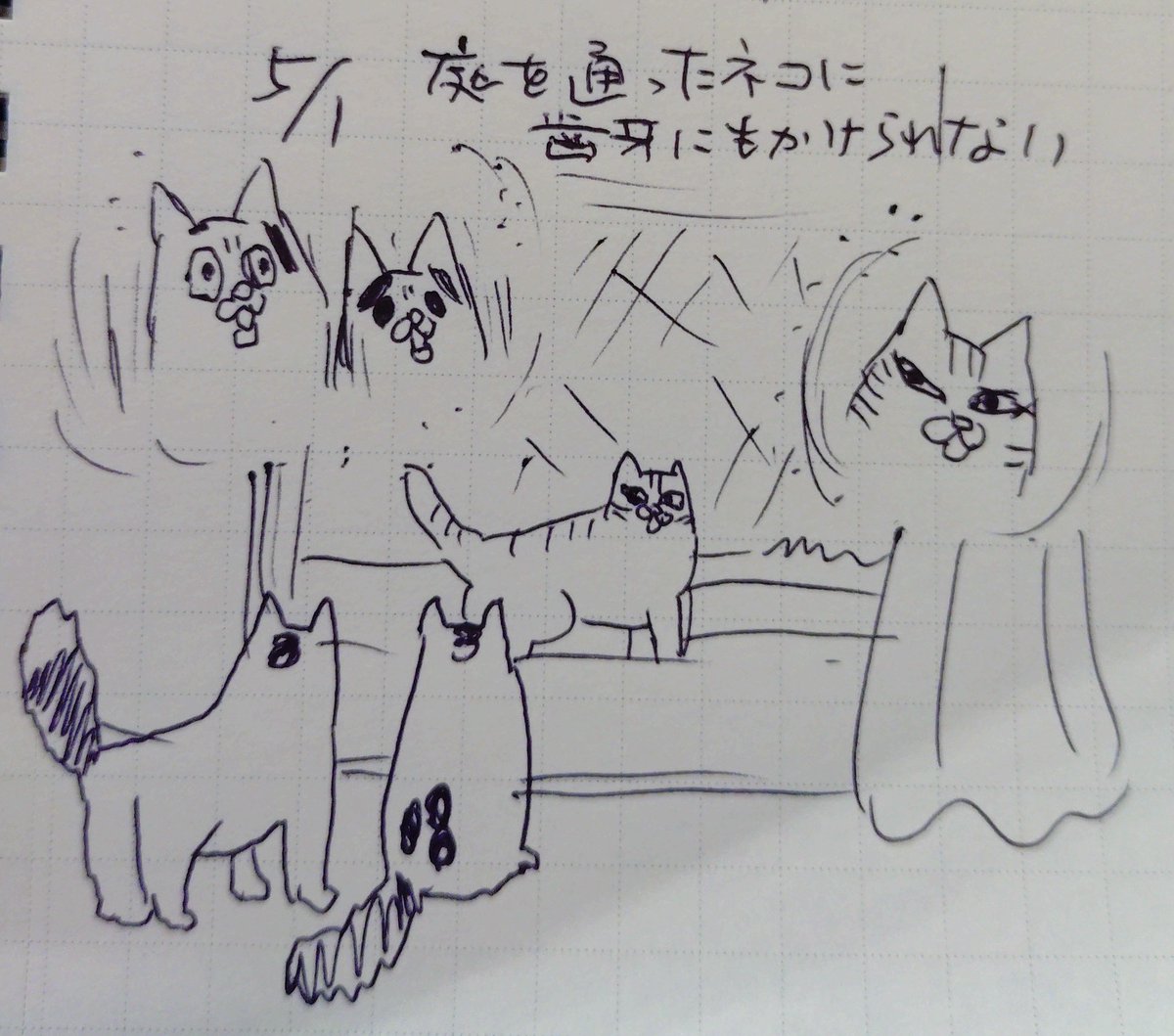 🐱日記